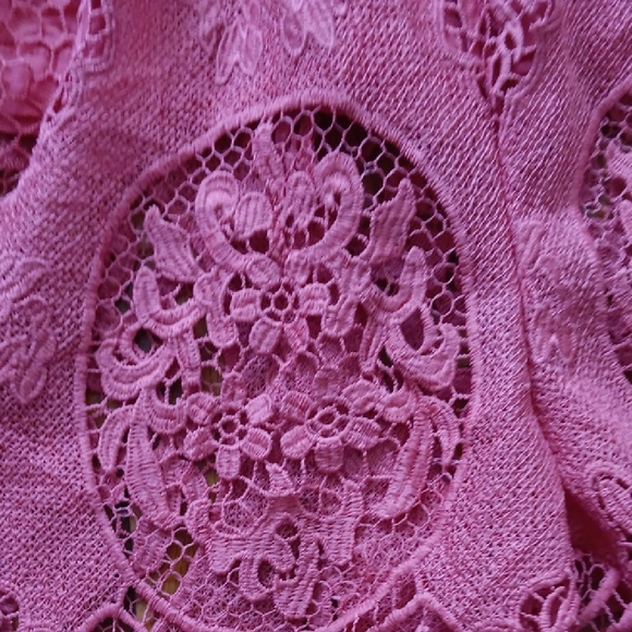 Elegant Lace Long Sleeve Top in Pink - Picture 3 of 6